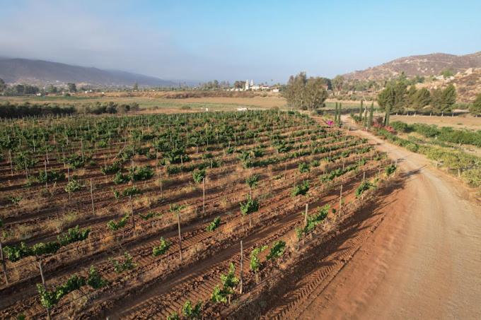 Casa Luna Vinedo Valle de Guadalupe Exteriér fotografie
